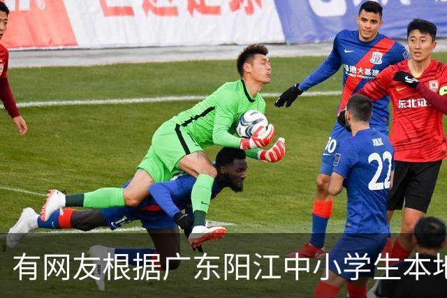 有网友根据广东阳江中小学生本地话交流1%，预测20年阳江话消亡